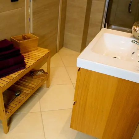 The Enlightened Turtle