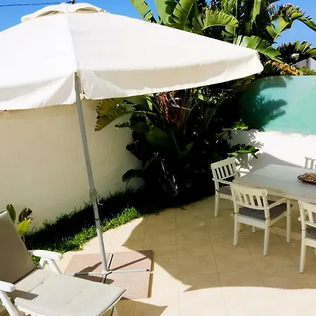 بيت للعطل The Enlightened Turtle